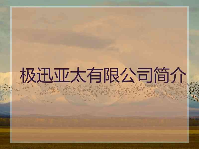 极迅亚太有限公司简介