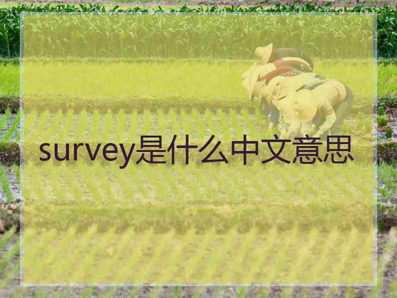 survey是什么中文意思