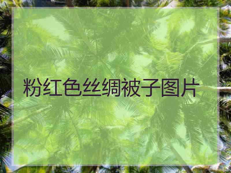 粉红色丝绸被子图片
