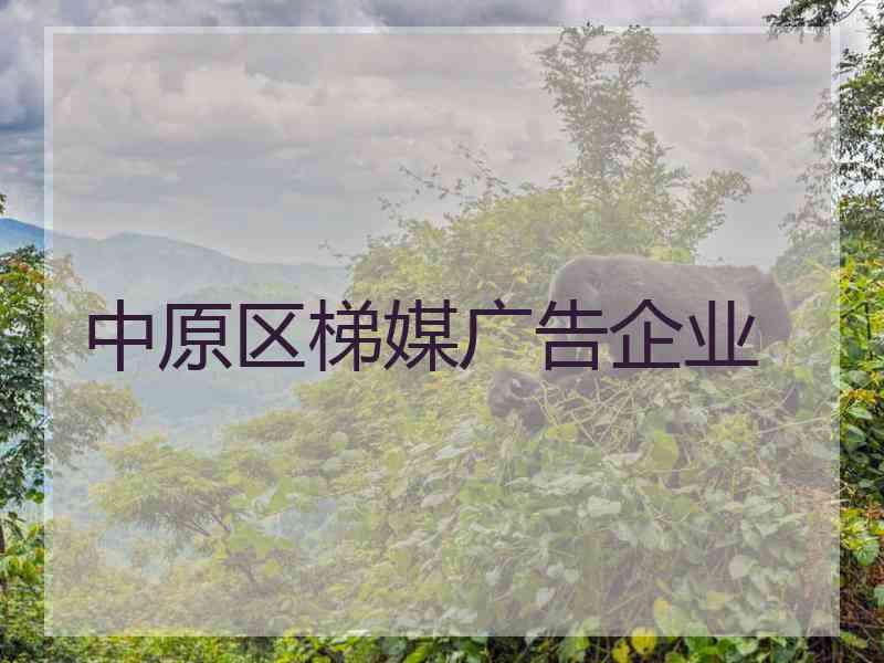 中原区梯媒广告企业