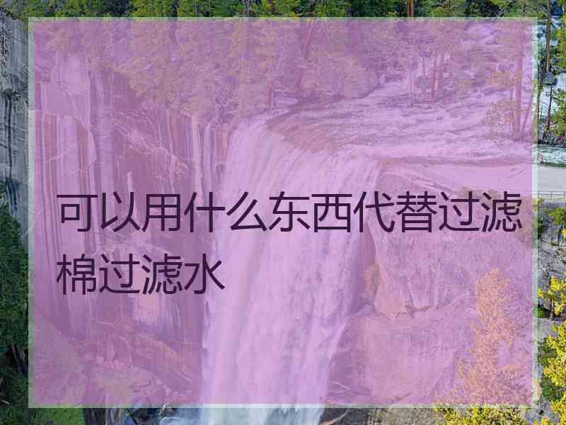 可以用什么东西代替过滤棉过滤水