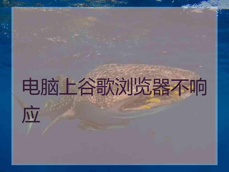 电脑上谷歌浏览器不响应