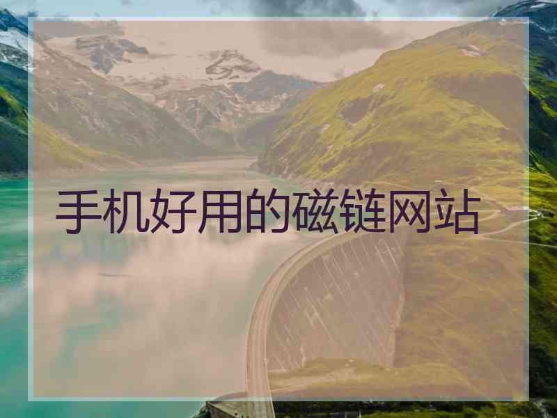 手机好用的磁链网站