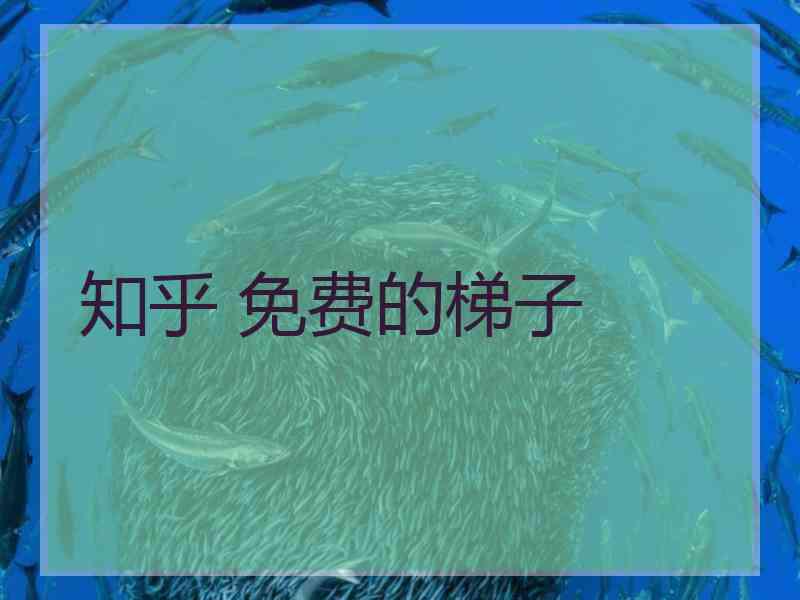 知乎 免费的梯子