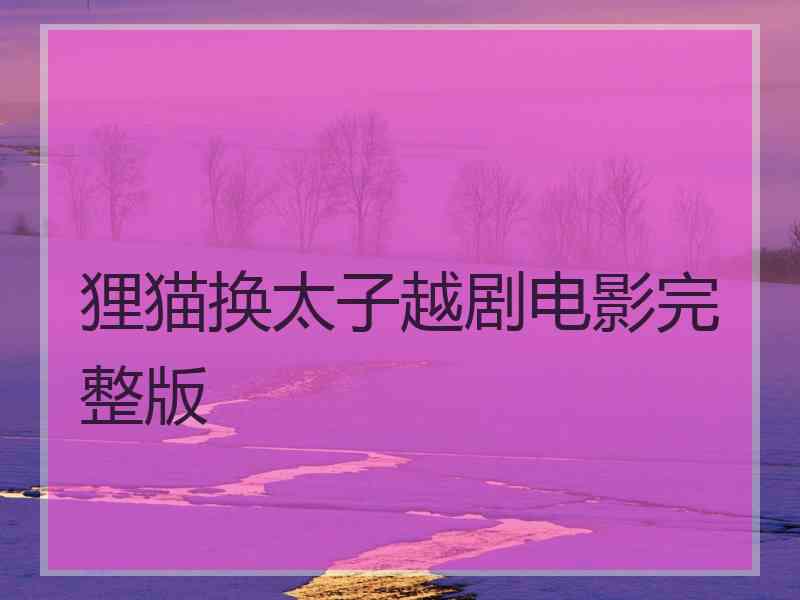 狸猫换太子越剧电影完整版