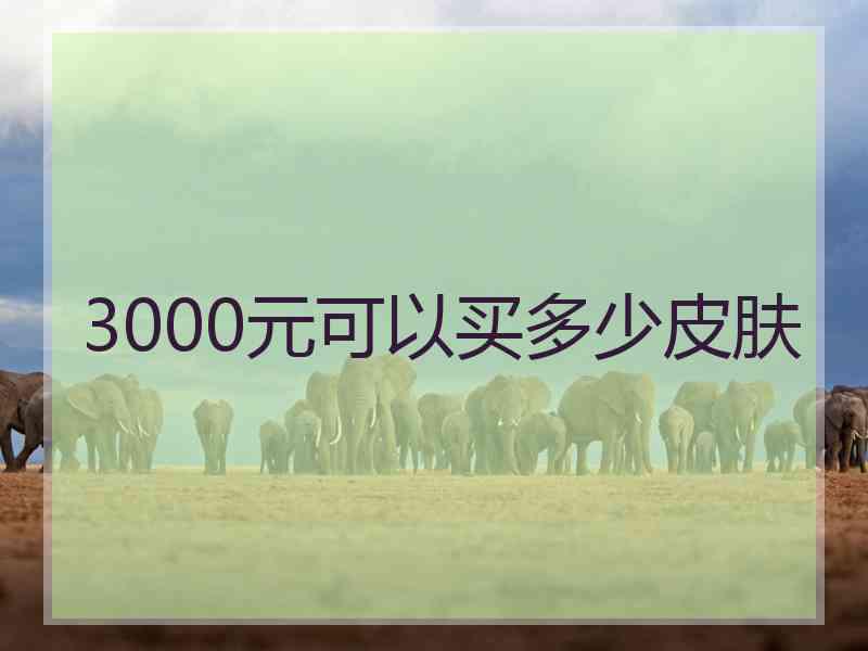 3000元可以买多少皮肤