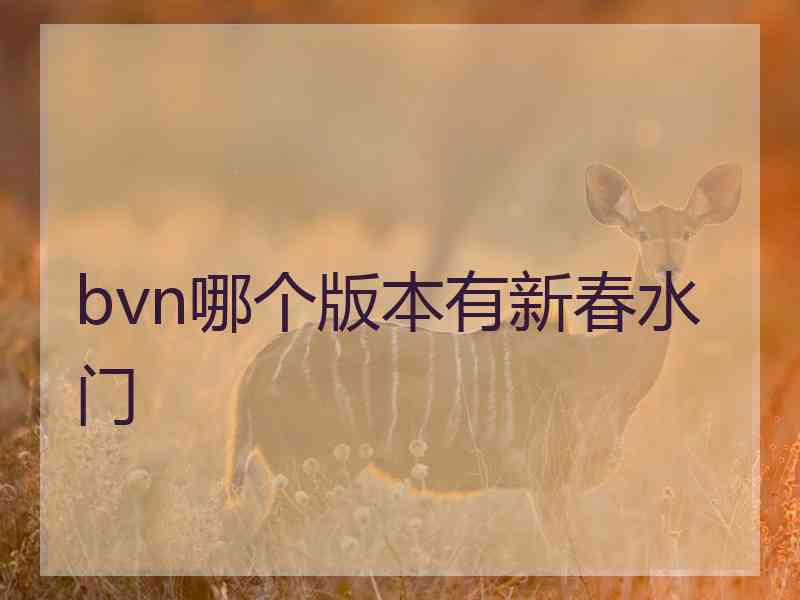 bvn哪个版本有新春水门