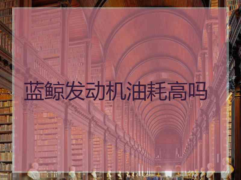 蓝鲸发动机油耗高吗