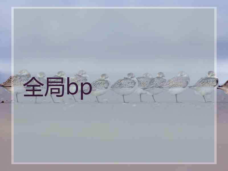 全局bp