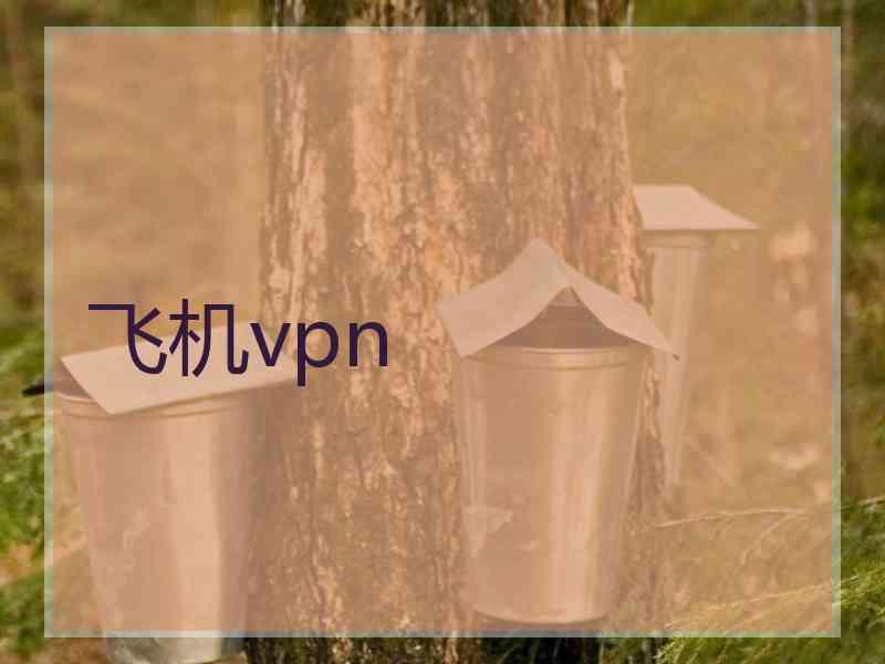 飞机vpn