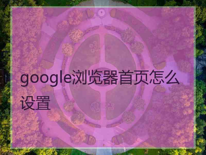 google浏览器首页怎么设置