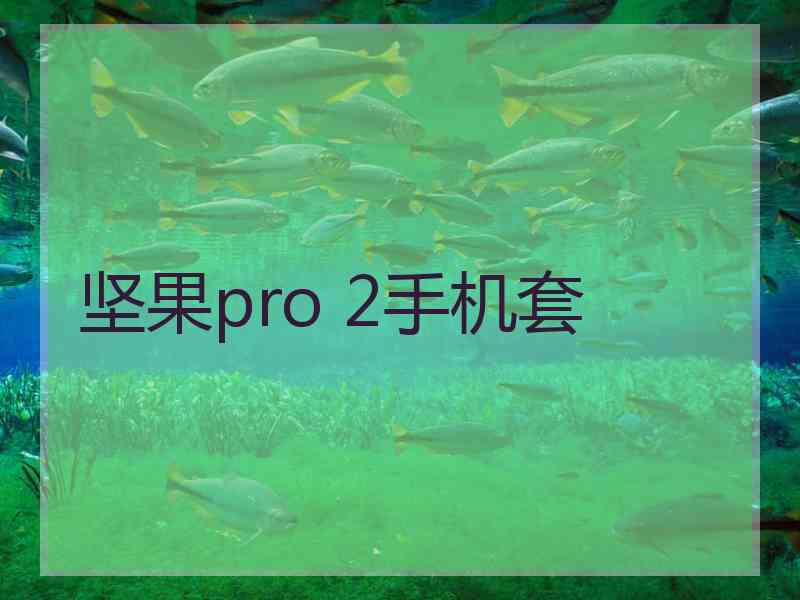 坚果pro 2手机套