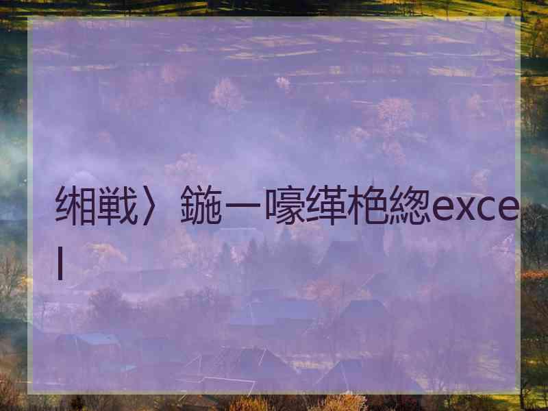 缃戦〉鍦ㄧ嚎缂栬緫excel