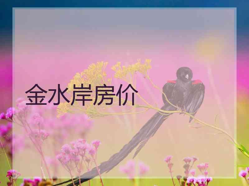 金水岸房价