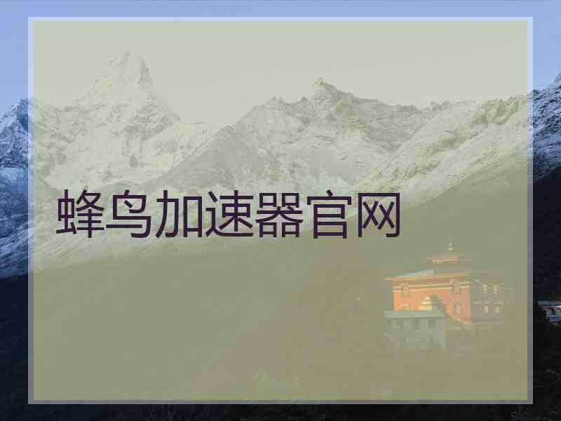 蜂鸟加速器官网