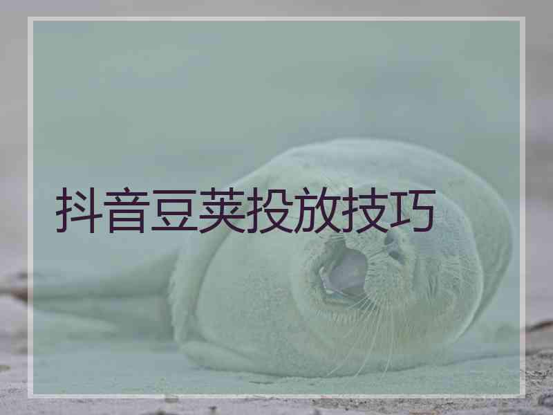 抖音豆荚投放技巧