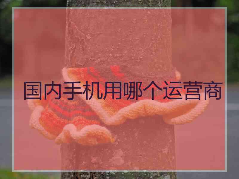 国内手机用哪个运营商