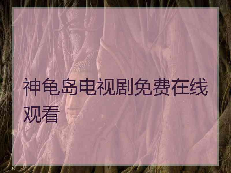 神龟岛电视剧免费在线观看