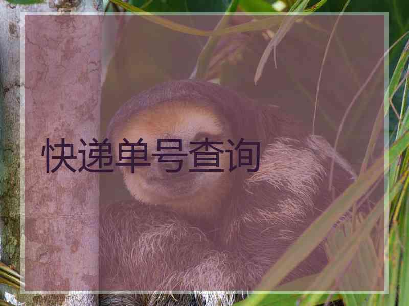 快递单号查询