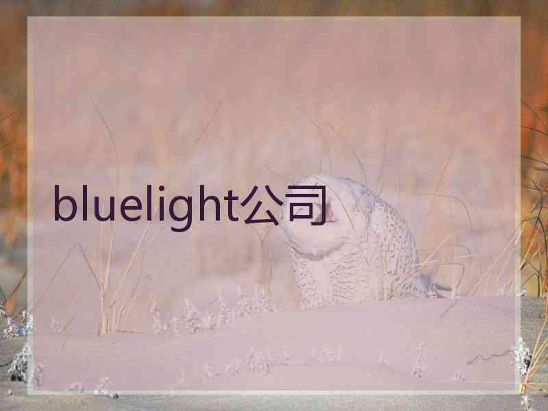 bluelight公司