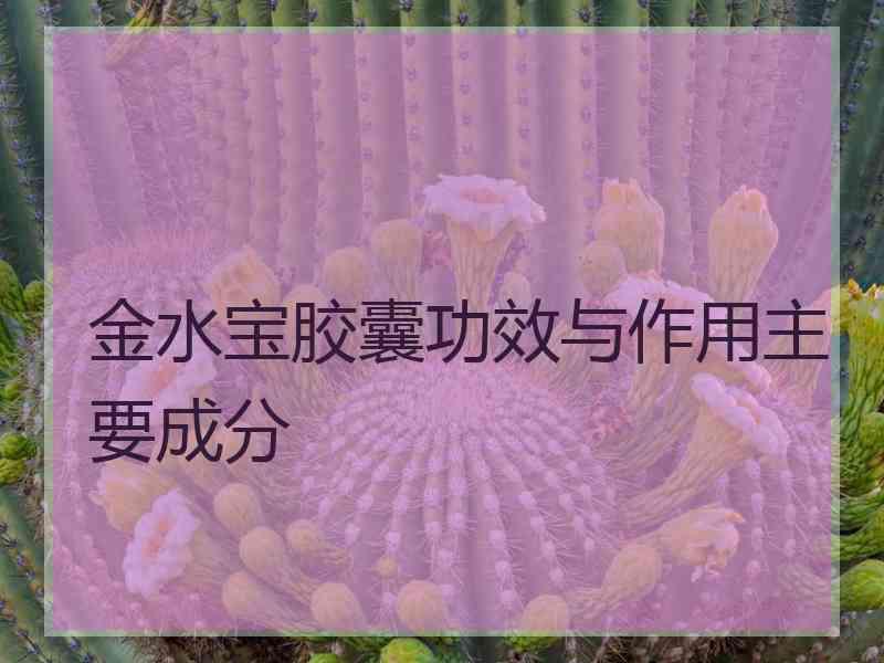 金水宝胶囊功效与作用主要成分