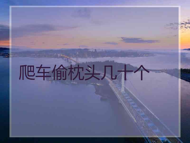 爬车偷枕头几十个