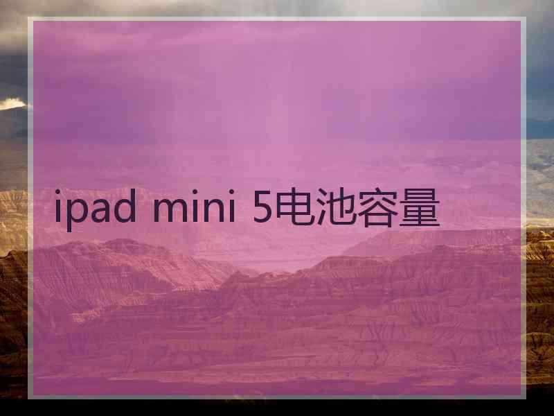 ipad mini 5电池容量
