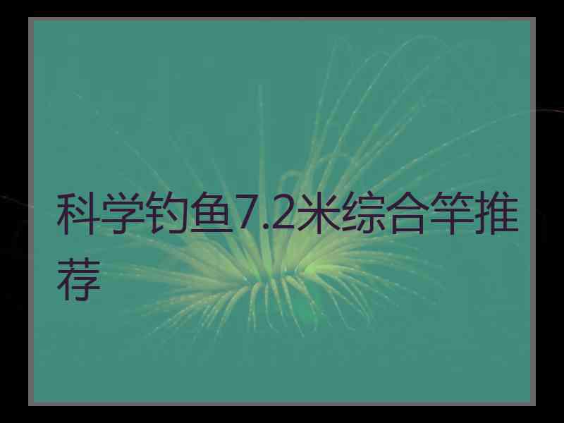 科学钓鱼7.2米综合竿推荐