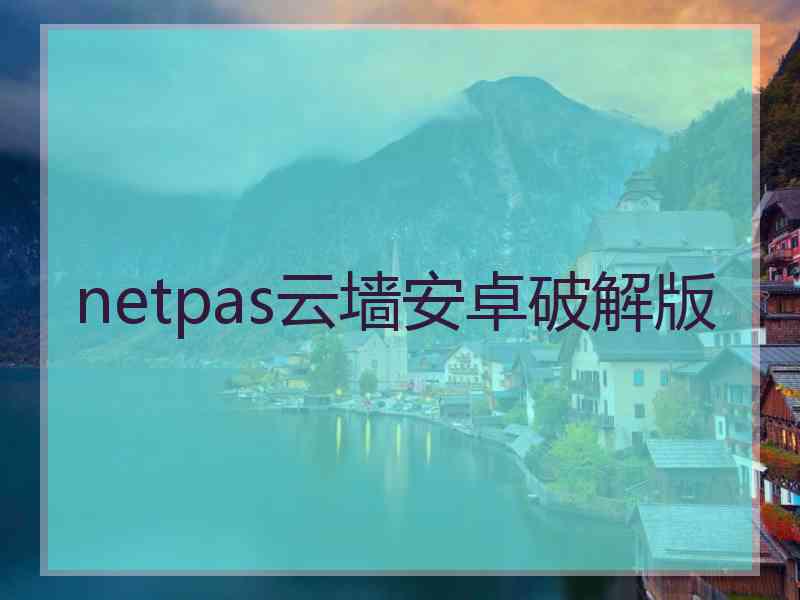 netpas云墙安卓破解版