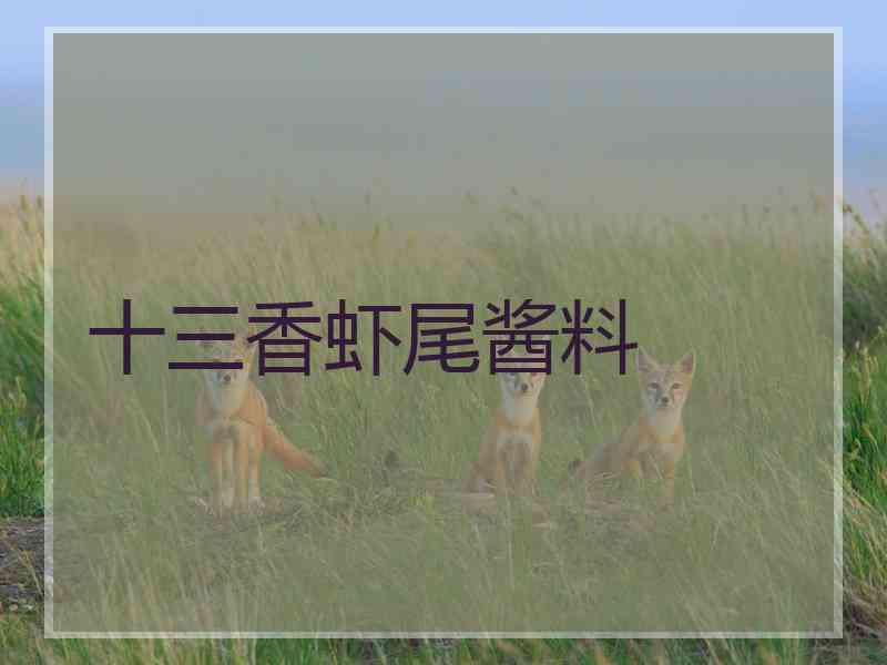 十三香虾尾酱料