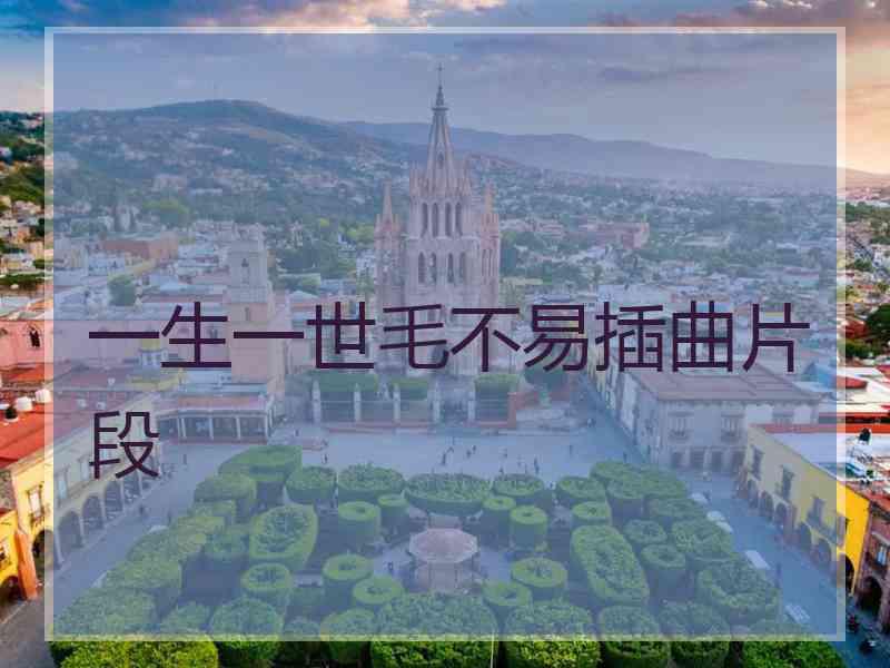 一生一世毛不易插曲片段