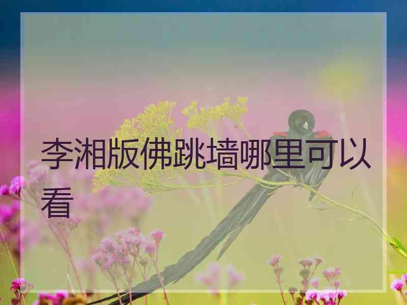 李湘版佛跳墙哪里可以看
