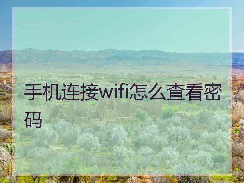 手机连接wifi怎么查看密码