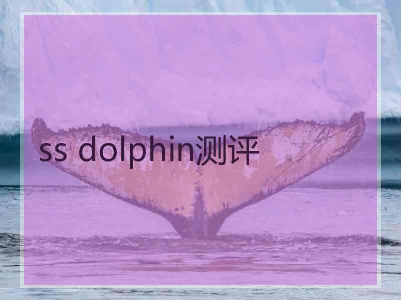 ss dolphin测评