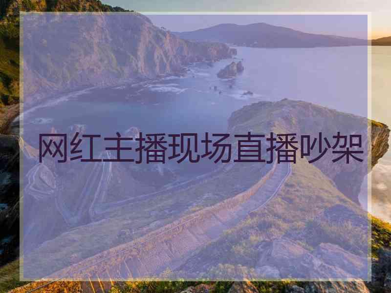 网红主播现场直播吵架