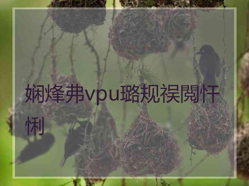 娴烽弗vpu璐规祦閲忓悧