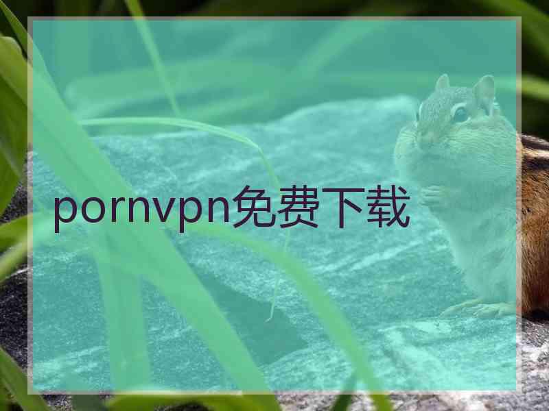 pornvpn免费下载