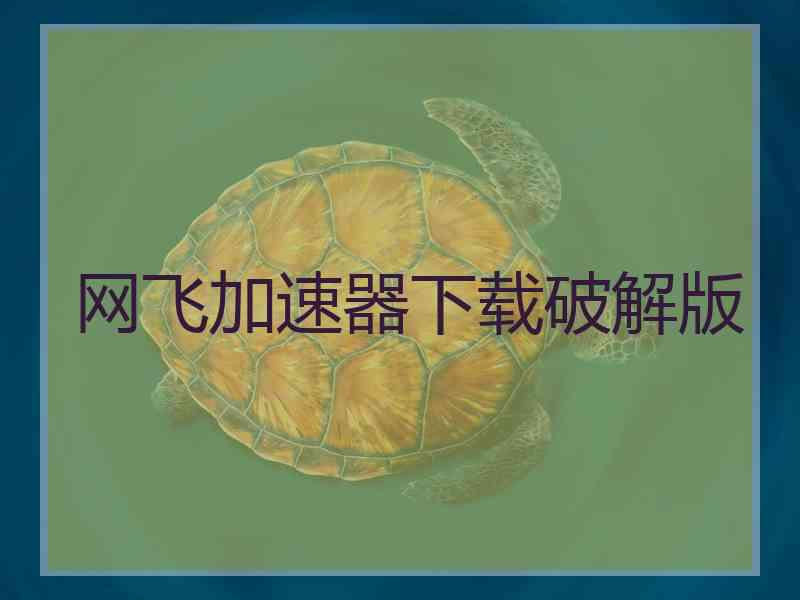 网飞加速器下载破解版