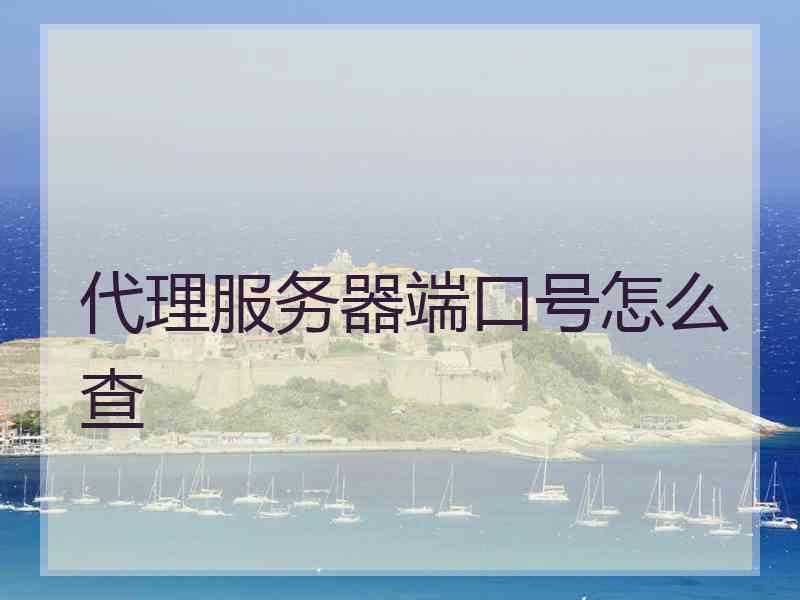 代理服务器端口号怎么查