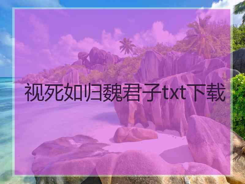 视死如归魏君子txt下载