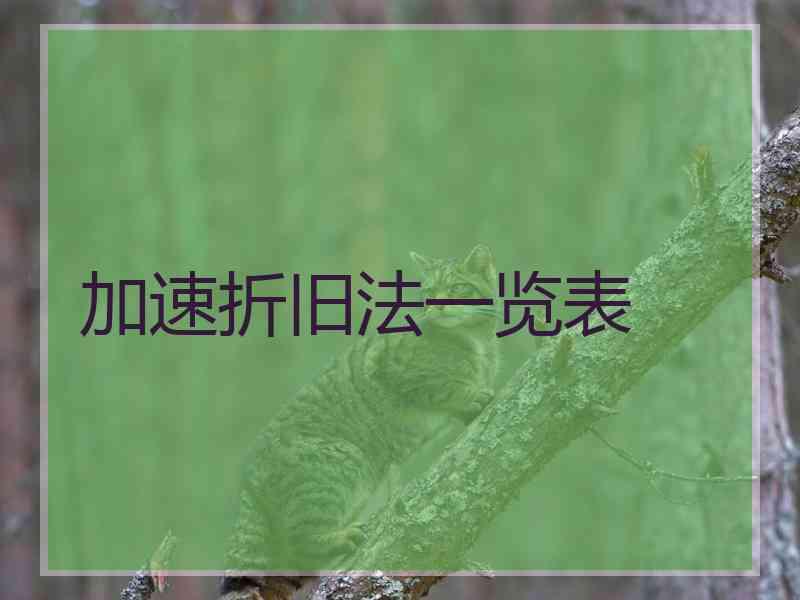 加速折旧法一览表