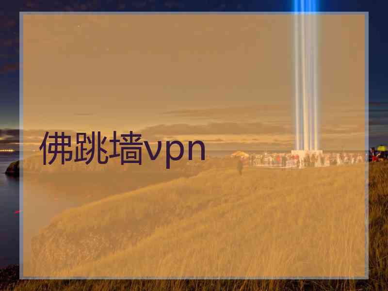 佛跳墙νpn
