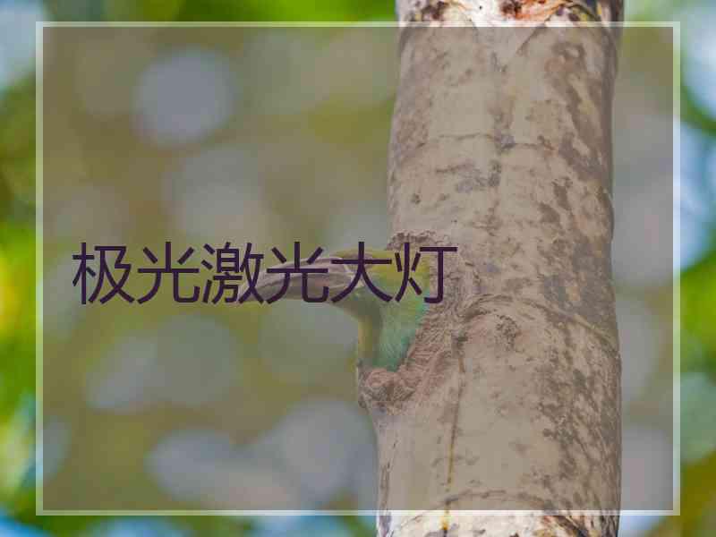 极光激光大灯