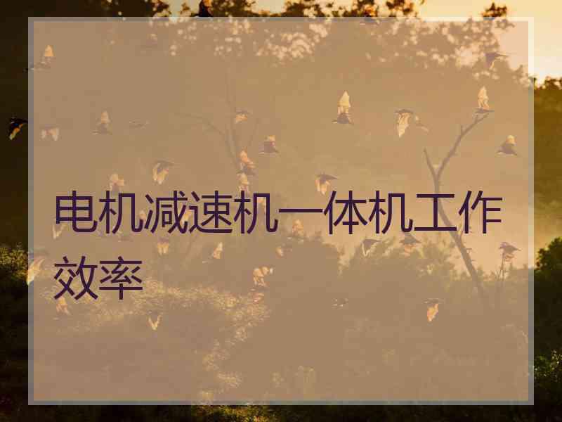 电机减速机一体机工作效率