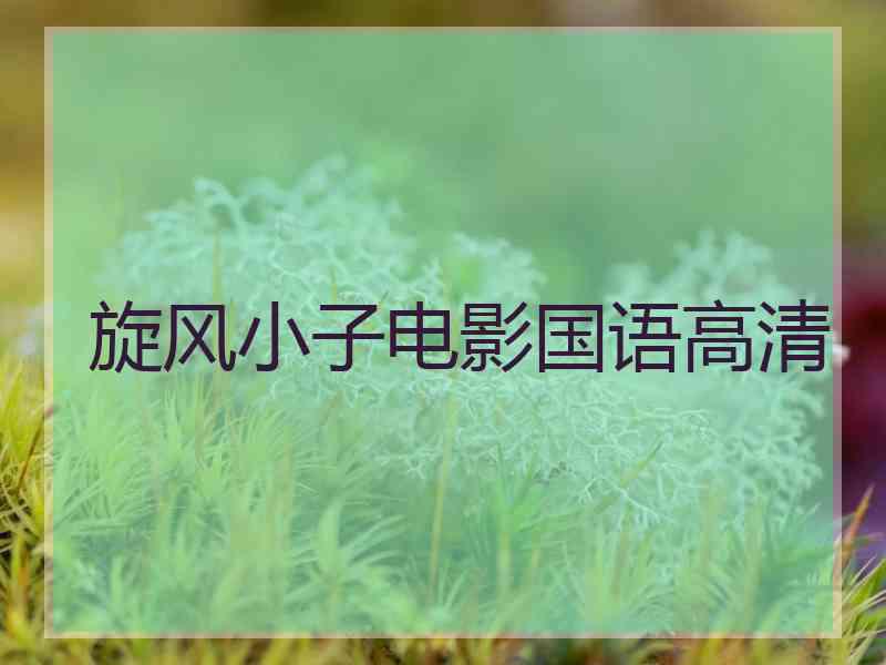 旋风小子电影国语高清