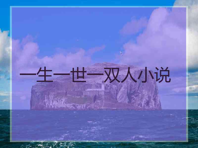 一生一世一双人小说