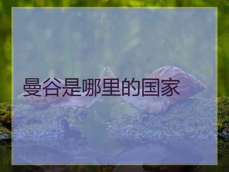 曼谷是哪里的国家