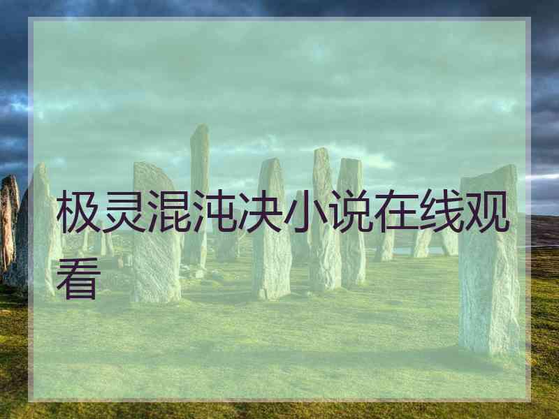 极灵混沌决小说在线观看