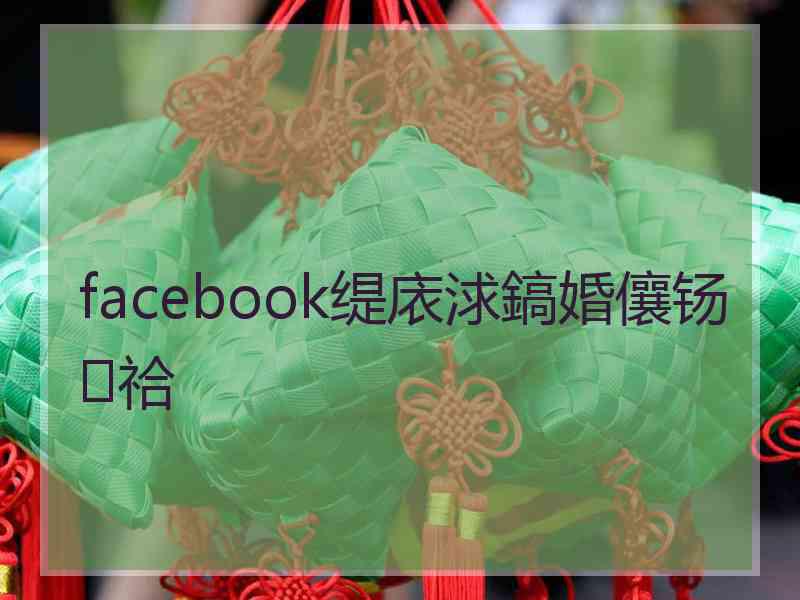 facebook缇庡浗鎬婚儴钖祫