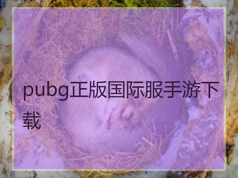 pubg正版国际服手游下载